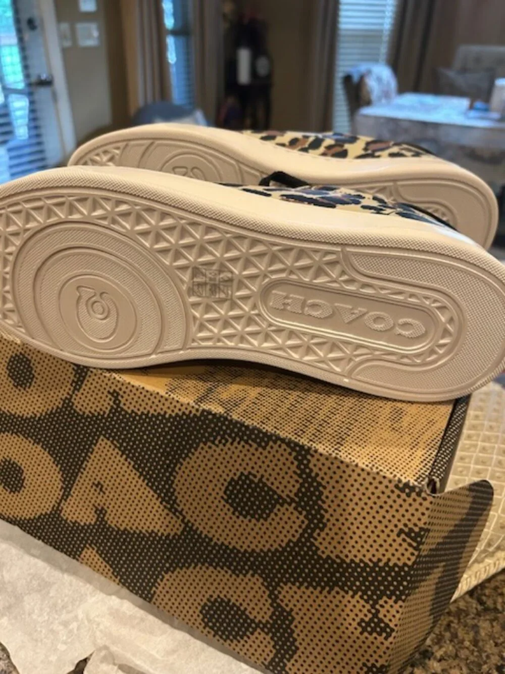 Coach Black/Leopard High Line Leather Sneaker With Leopard Print
